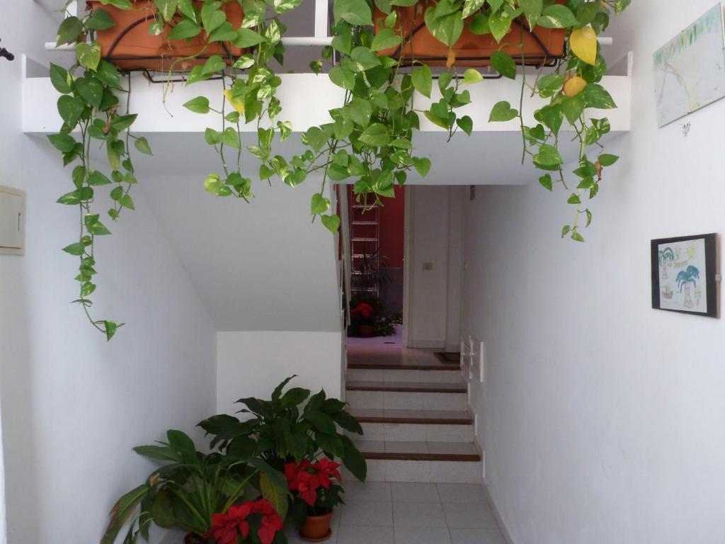 Apartamentos Bellavista Gomera Playa de Santiago  Luaran gambar